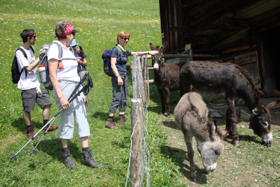 DSC04526 - Kopie_JPG-1343750446