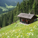 DSC04528 - Kopie_JPG-1343750488