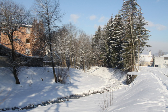 Winter - Eis - Frutz 010 473.jpg