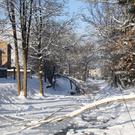 Winter - Eis - Frutz 010 492.jpg