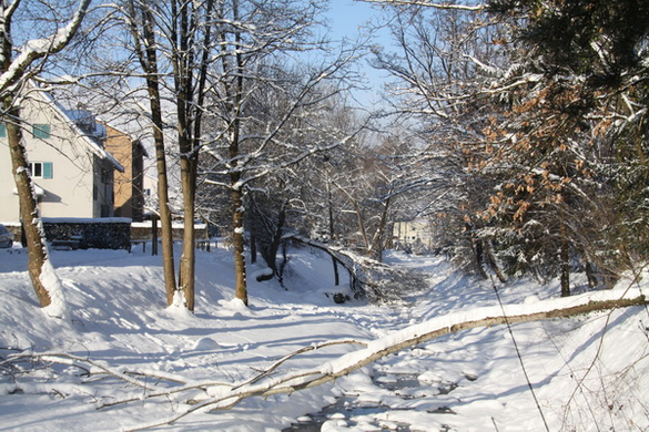 Winter - Eis - Frutz 010 492.jpg