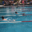 grilla_jpg 048_jpg-1343756414