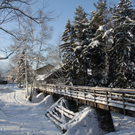 Winter - Eis - Frutz 010 503.jpg