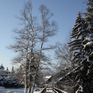 Winter - Eis - Frutz 010 512.jpg