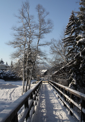 Winter - Eis - Frutz 010 512.jpg