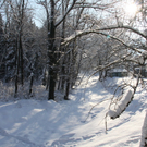 Winter - Eis - Frutz 010 517.jpg