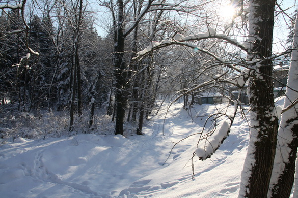 Winter - Eis - Frutz 010 517.jpg