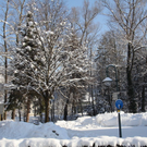 Winter - Eis - Frutz 010 521.jpg