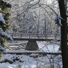 Winter - Eis - Frutz 010 526.jpg