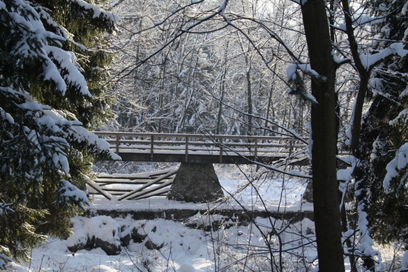 Winter - Eis - Frutz 010 526.jpg