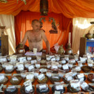 Palast16aGewuerze_jpg-1343763009