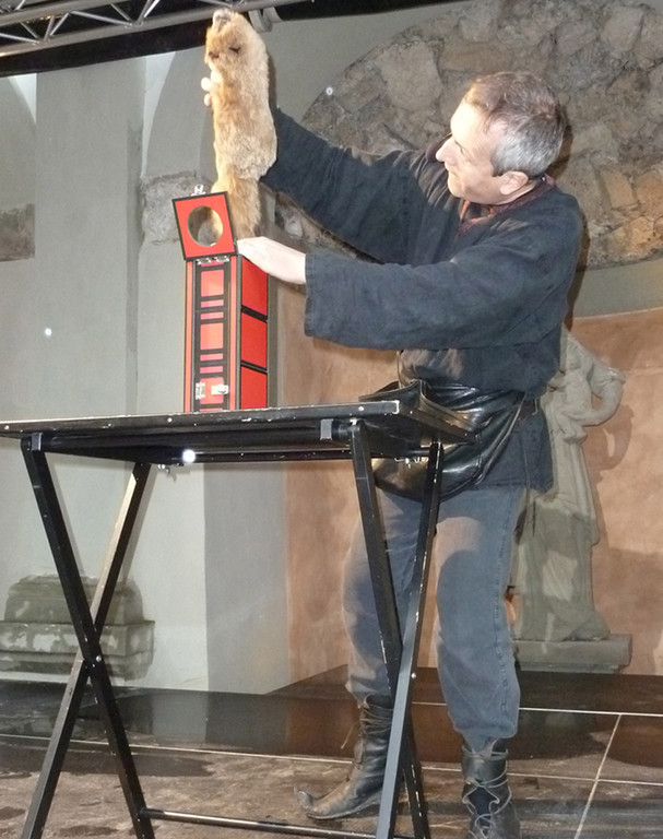 Palast41Gaukler_jpg-1343763391