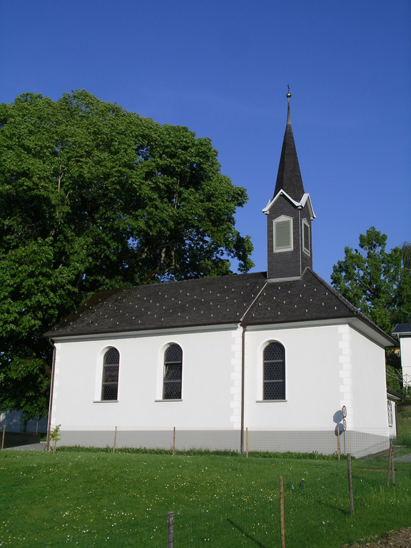 IMGP7050.jpg
