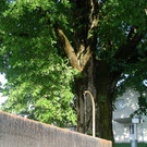 IMGP7056.jpg