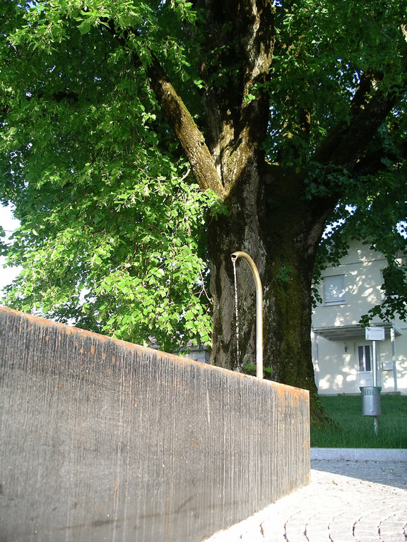 IMGP7056.jpg