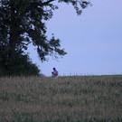 31072012landwirtde01001aktivnews_31.jpg