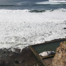 DAB0603-20120801.jpg
