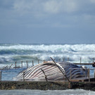 IBD0092-20120801.jpg