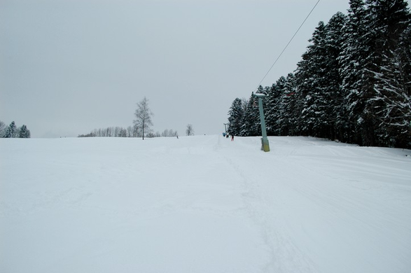 DSC_0012.jpg