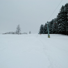 Bilder
