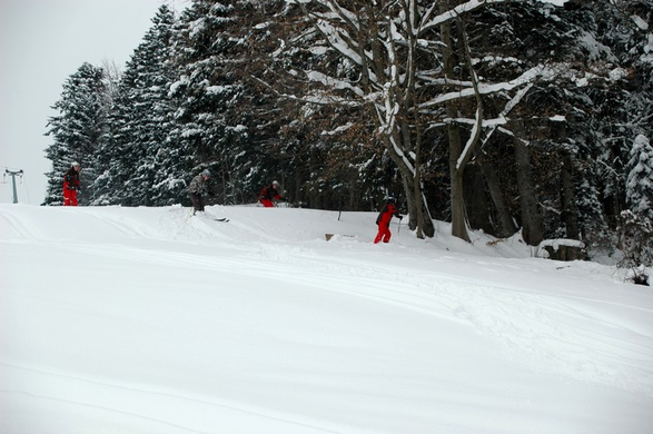 DSC_0001.jpg
