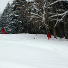 DSC_0002.jpg