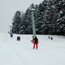 DSC_0008.jpg