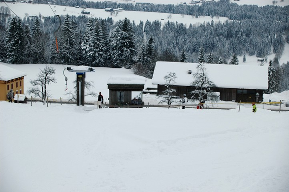 DSC_0010.jpg
