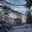 Winter - Eis - Frutz 010 115.jpg