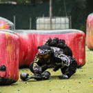 paintball-vorarlberg2.jpg