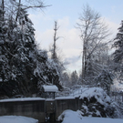 Winter - Eis - Frutz 010 130.jpg