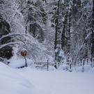 Winter - Eis - Frutz 010 137.jpg