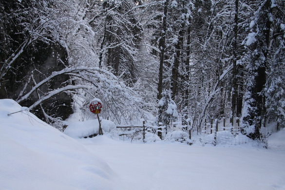 Winter - Eis - Frutz 010 137.jpg