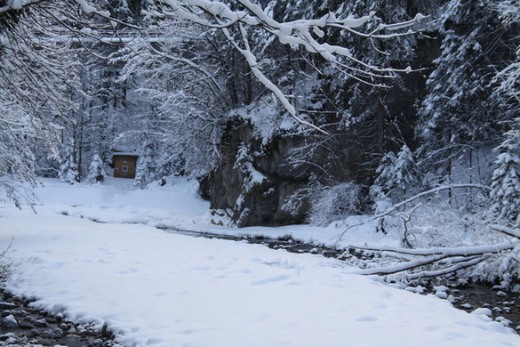 Winter - Eis - Frutz 010 140.jpg
