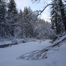 Winter - Eis - Frutz 010 155.jpg