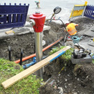 DSCN7530_JPG-1343828333