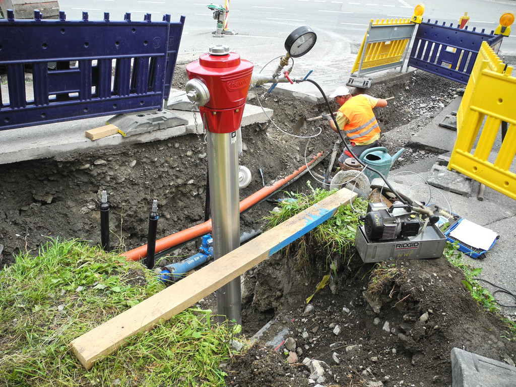 DSCN7530_JPG-1343828333