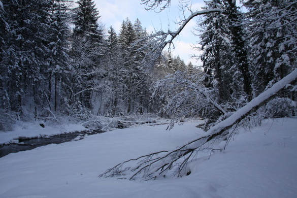 Winter - Eis - Frutz 010 155.jpg