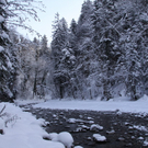 Winter - Eis - Frutz 010 159.jpg