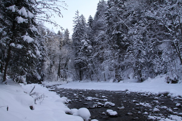 Winter - Eis - Frutz 010 159.jpg