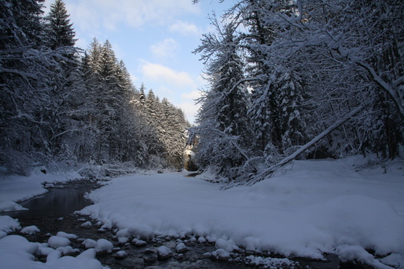 Winter - Eis - Frutz 010 162.jpg