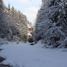 Winter - Eis - Frutz 010 166.jpg