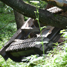 DSC_0039.JPG