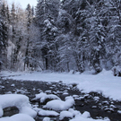 Winter - Eis - Frutz 010 172.jpg