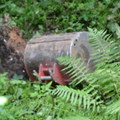 DSC_0041.JPG