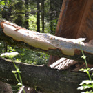 DSC_0044.JPG