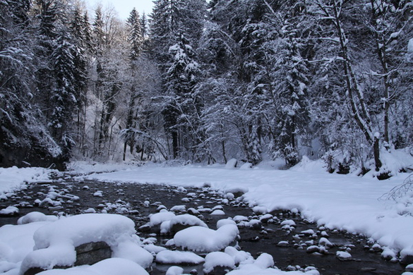 Winter - Eis - Frutz 010 172.jpg