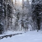 Winter - Eis - Frutz 010 177.jpg