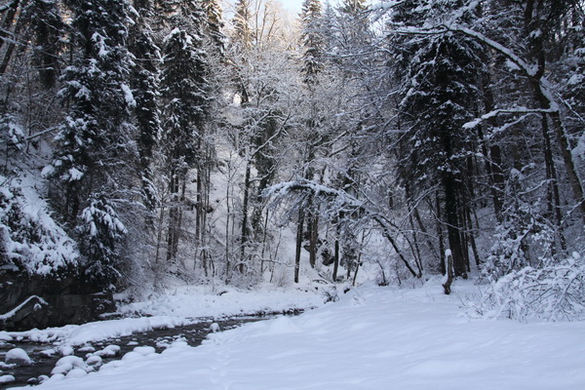 Winter - Eis - Frutz 010 177.jpg