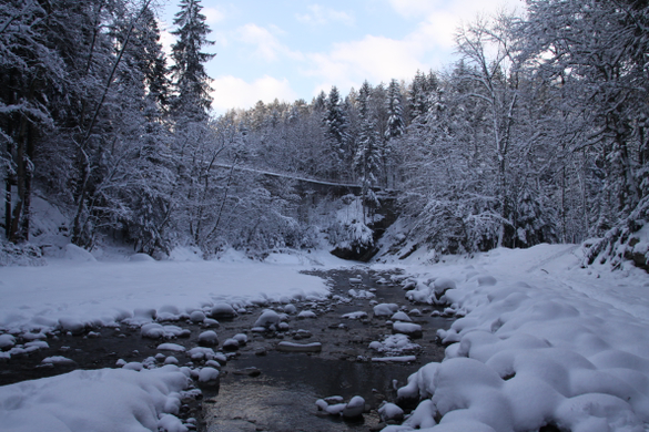 Winter - Eis - Frutz 010 185.jpg
